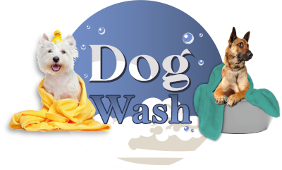 First Dog Wash Spa